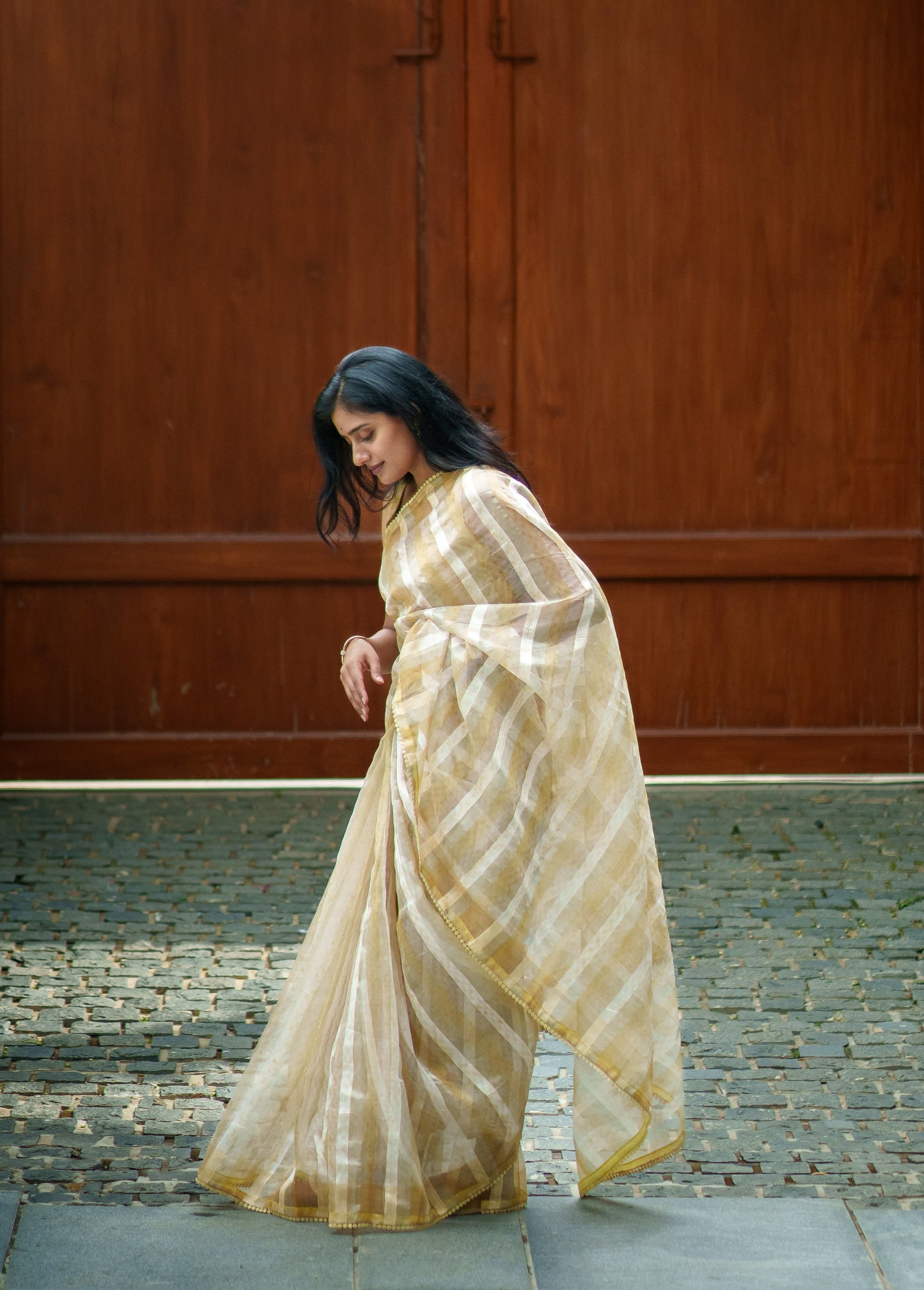 Sush Organza Saree