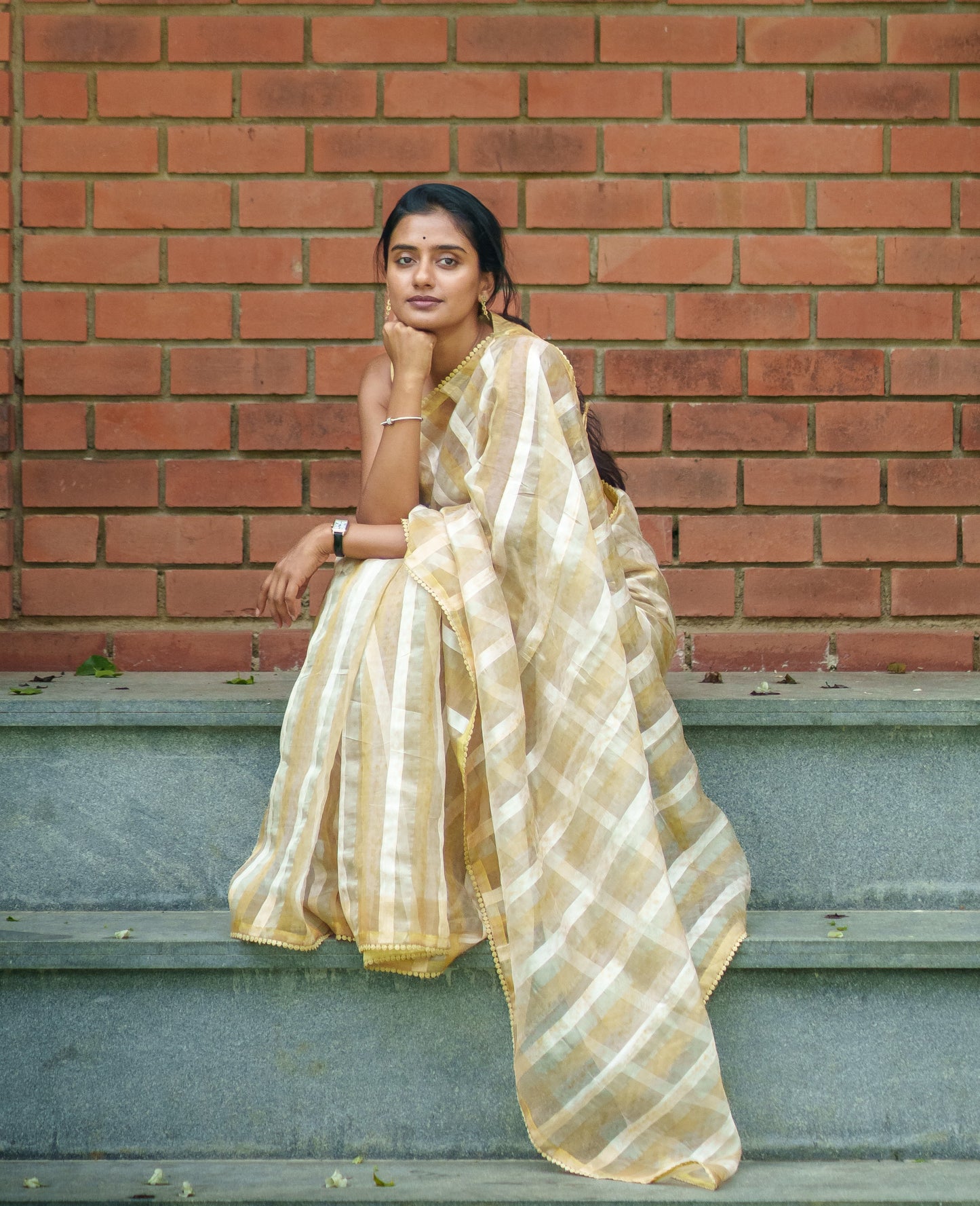 Sush Organza Saree
