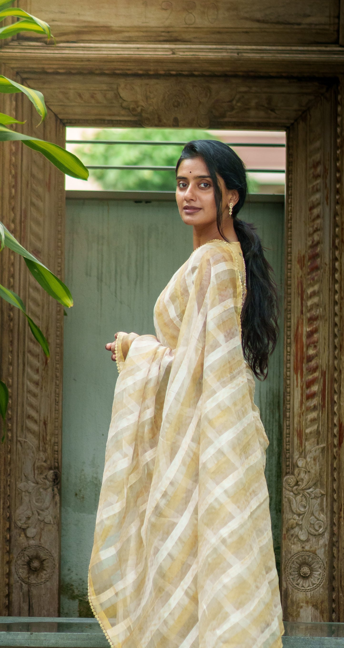 Sush Organza Saree