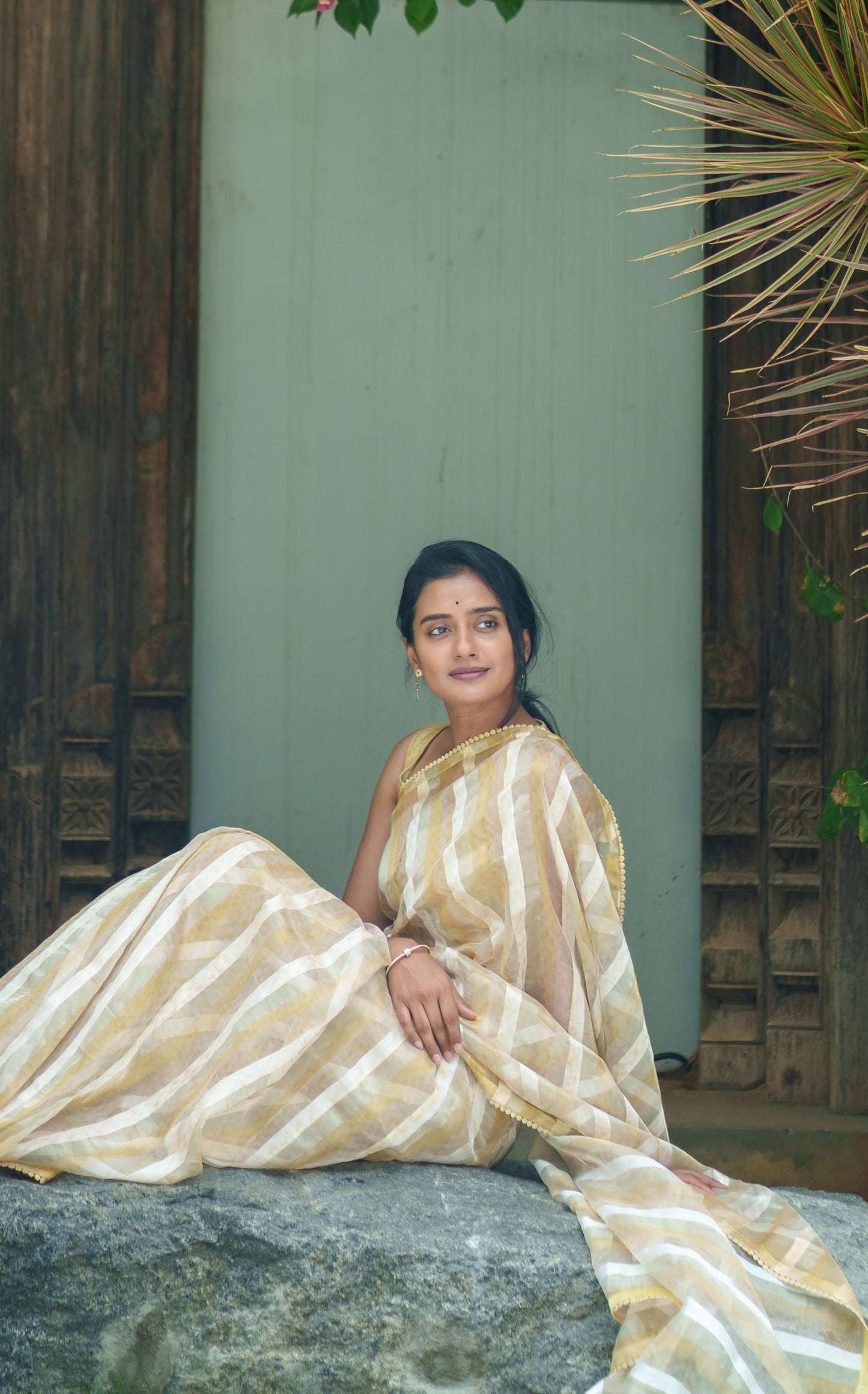 Sush Organza Saree