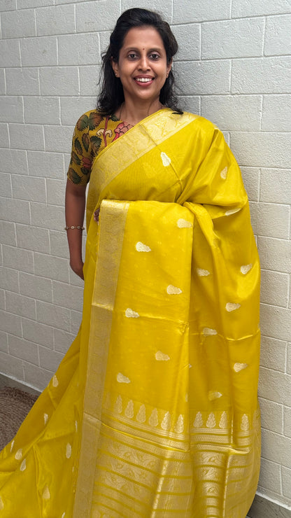 Organza Banaras Saree