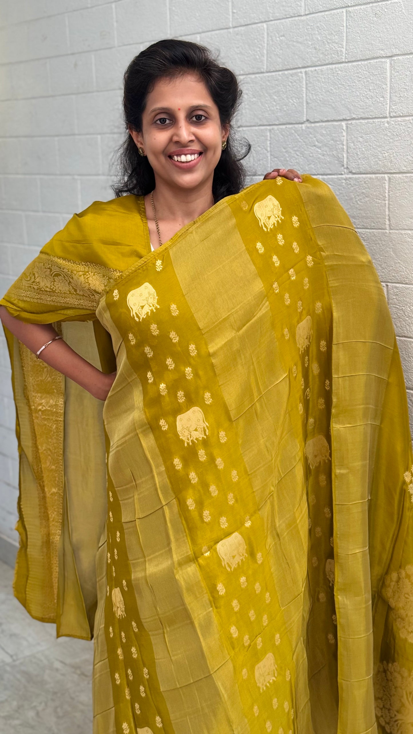 Viscose Pichwai Border
