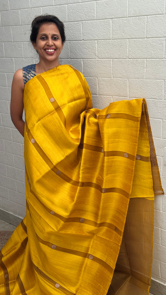 Pure Raw Silk Organza Fusion Saree