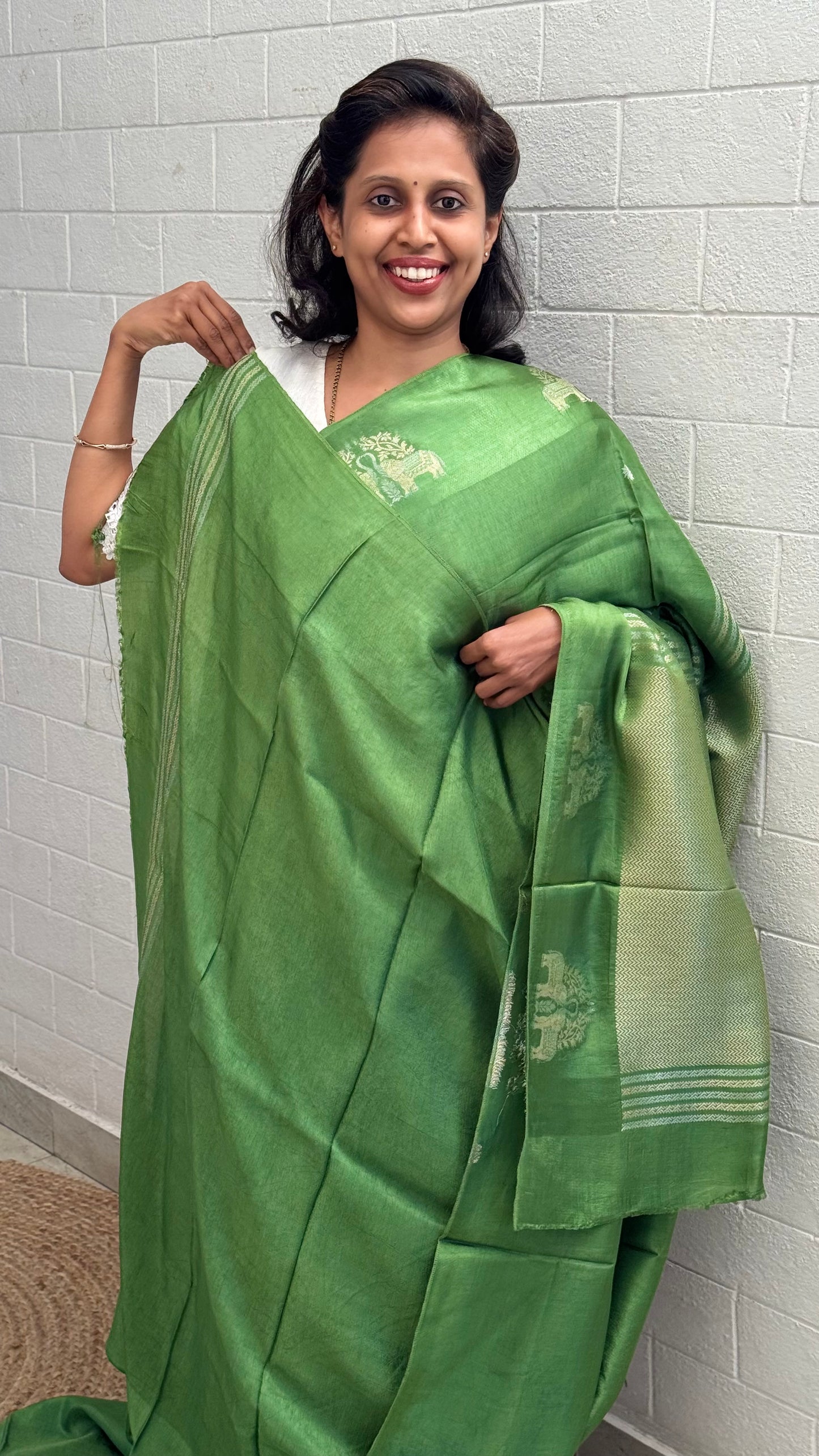 Viscose Elephant Border Saree