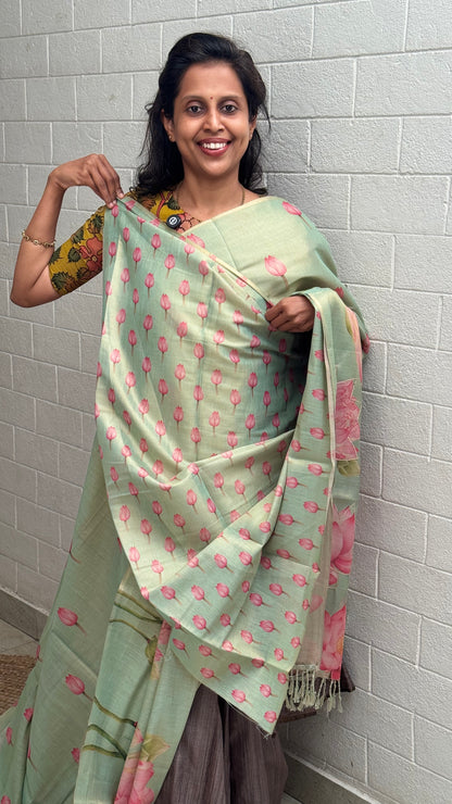 Linen Tissue Saree
