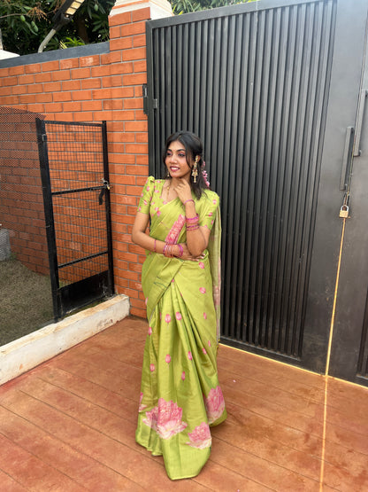 Pavi Tissue Linen Saree