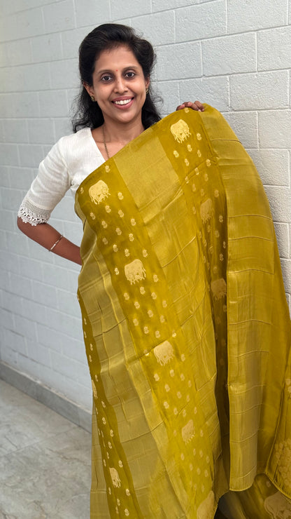 Viscose Pichwai Border