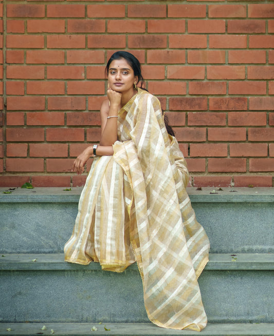 Sush Organza Saree