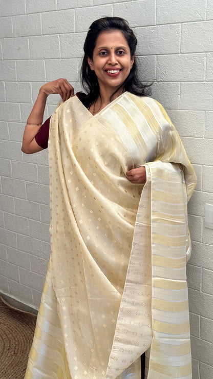 Tissue Vertical Line Saree
