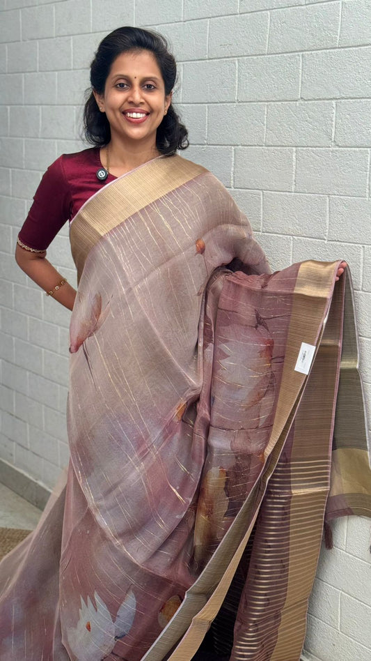 Double Organza Saree