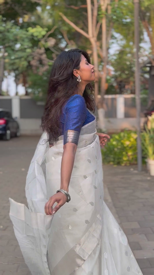 Silver Chanderi Tissue Silk
